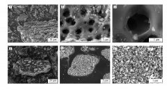臭氧高級催化氧化降解鹽酸四環素實驗